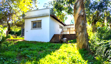 PhotoshopExtension_Image 25.jpeg